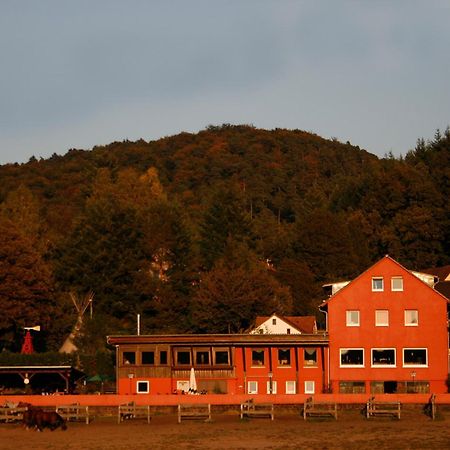 Schönau Longhorn Ranch Countryhotel - Garni מראה חיצוני תמונה